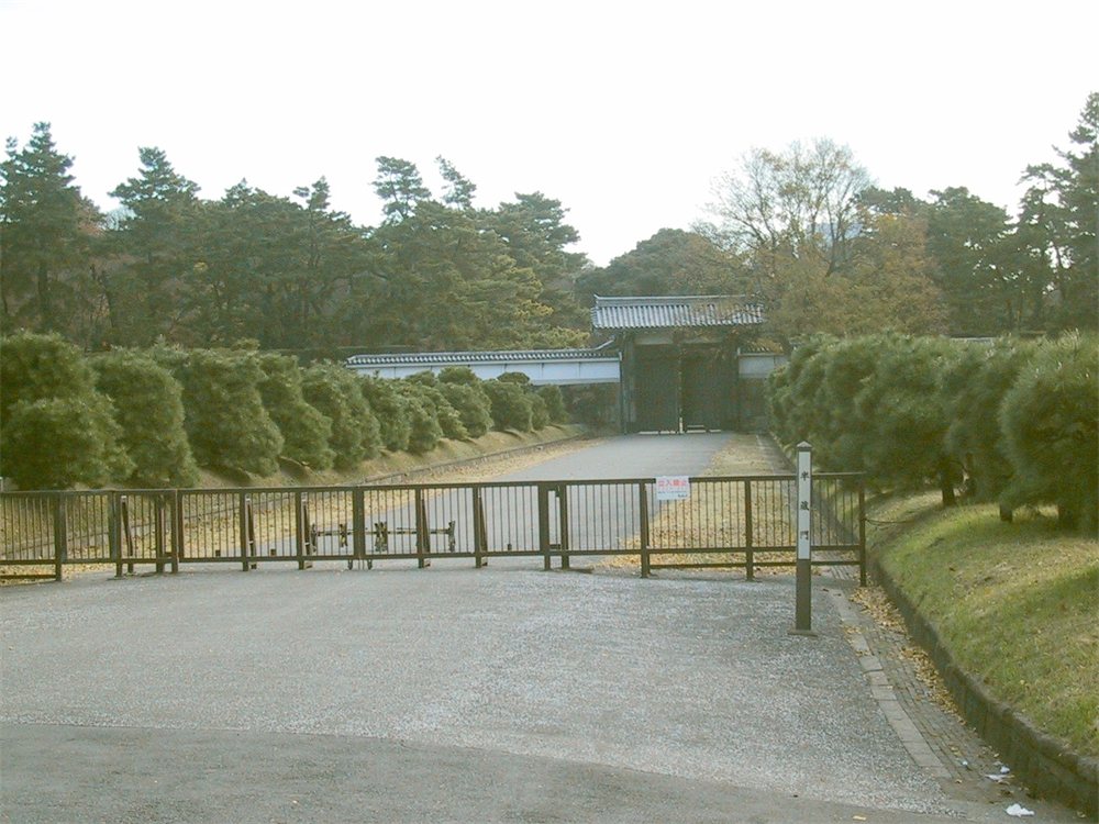 皇居の半蔵門。松の並木の先に見える白い壁の門