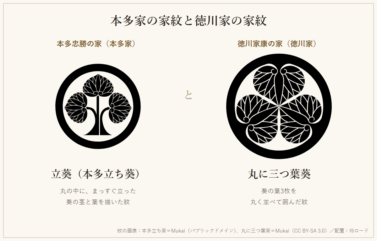 本多家の家紋「本多立ち葵」と、徳川家の家紋「丸に三つ葉葵」を並べてくらべた図