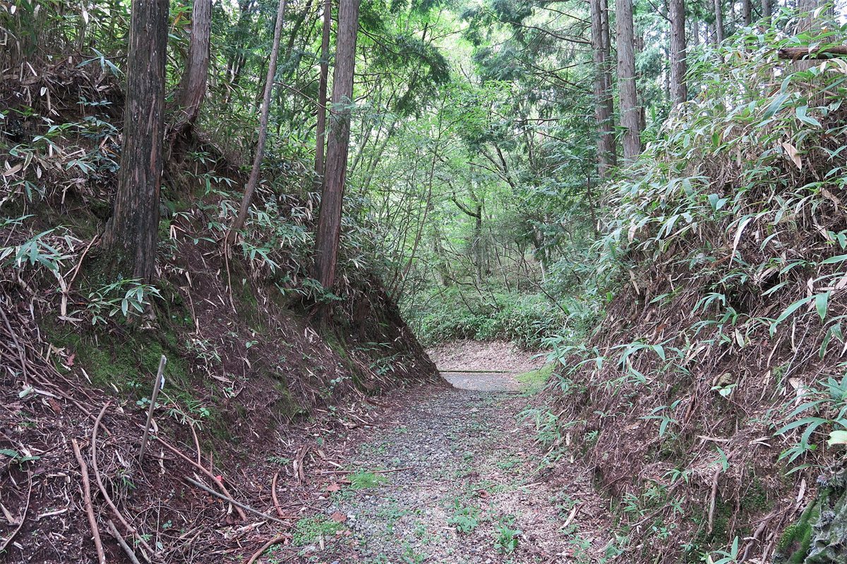 滋賀県甲賀市と三重県伊賀市の境にある桜峠の、両側が切り立った古い山道