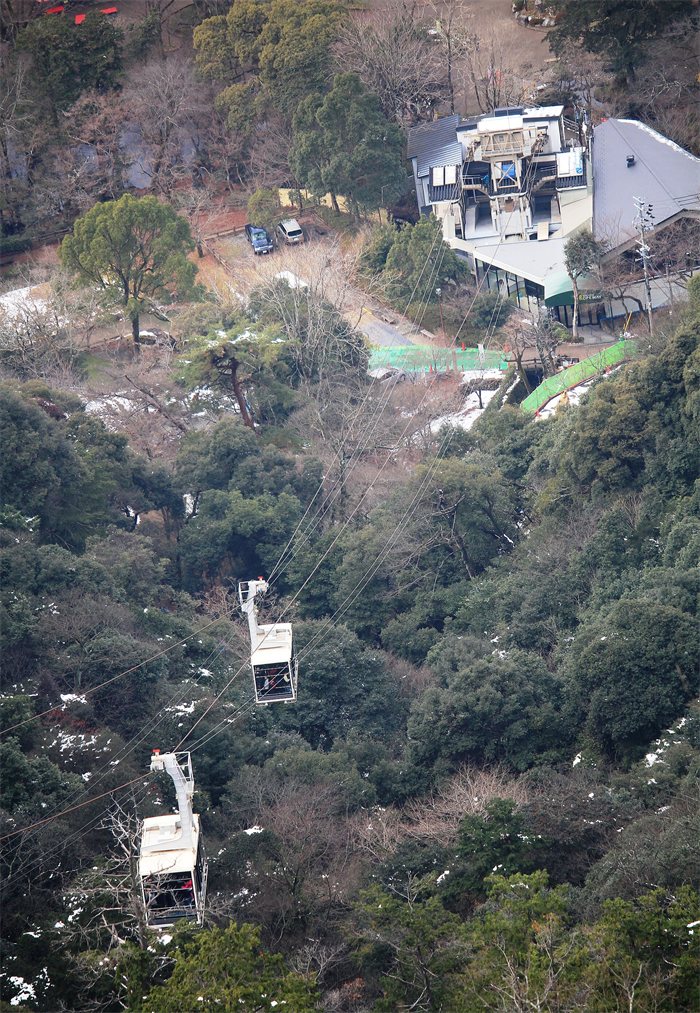 金華山の木々の上を行き来するロープウェーのゴンドラと、山頂駅の建物