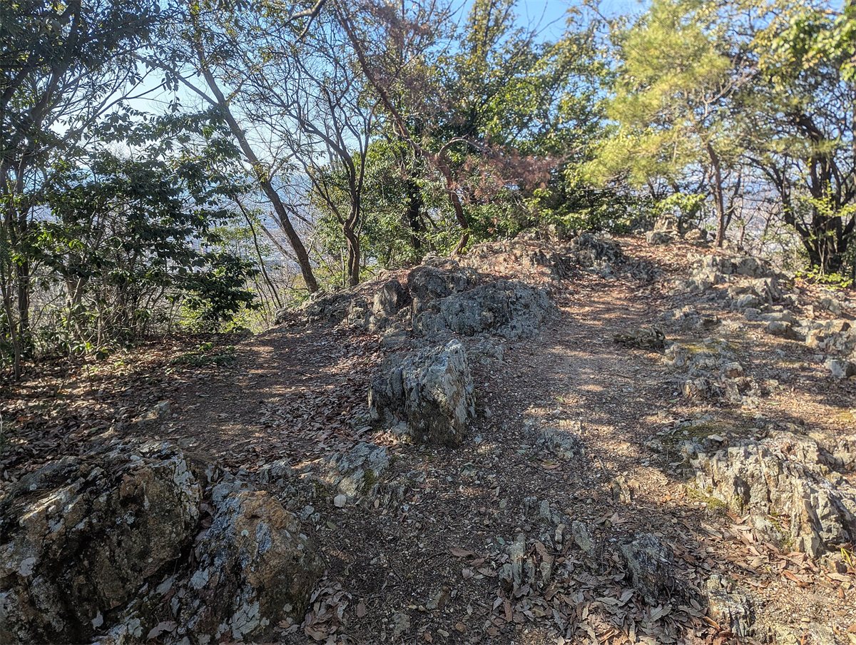 木々に囲まれた瑞龍寺山の山頂。岩まじりの地面が広がっている