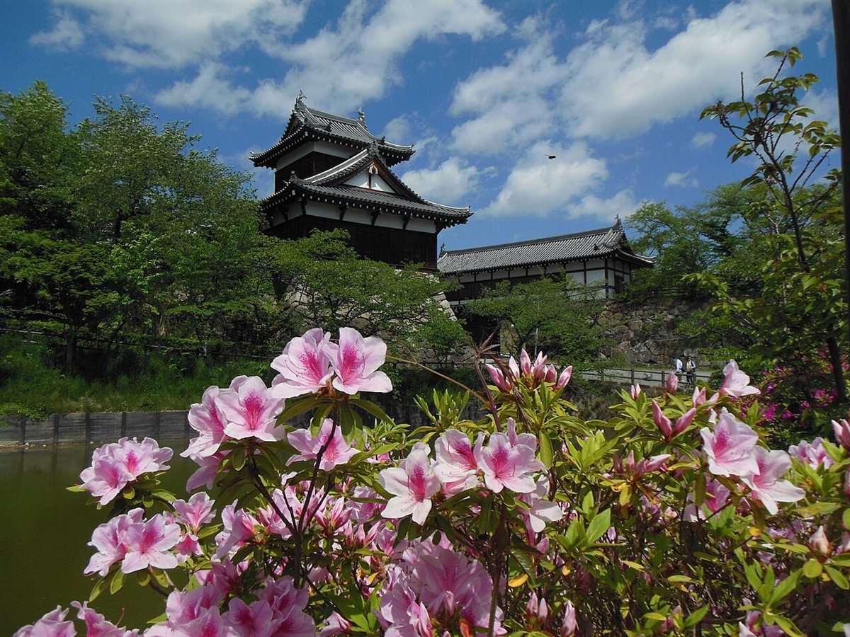 A turret of Kōriyama Castle ruins seen beyond azalea blossoms