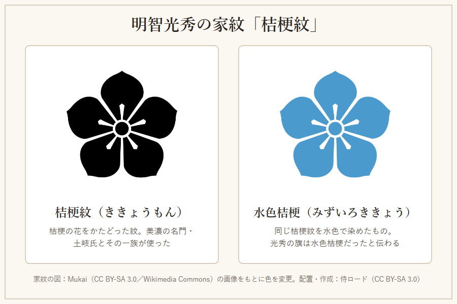 明智光秀の家紋の桔梗紋と水色桔梗