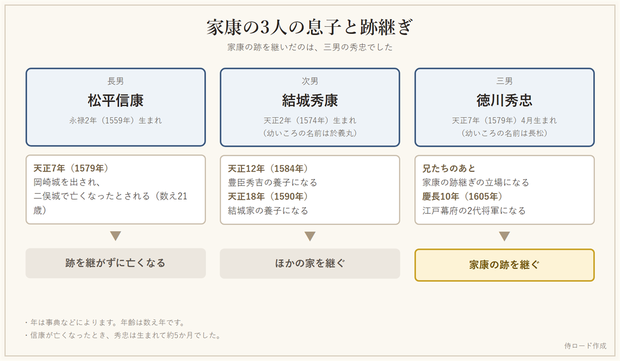 徳川家康の3人の息子、信康と秀康と秀忠のその後と、秀忠が跡継ぎになるまでを示した図