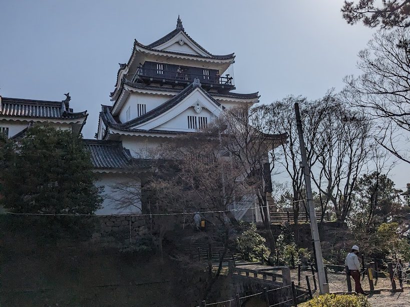 春の木々の向こうに見える岡崎城の白い天守