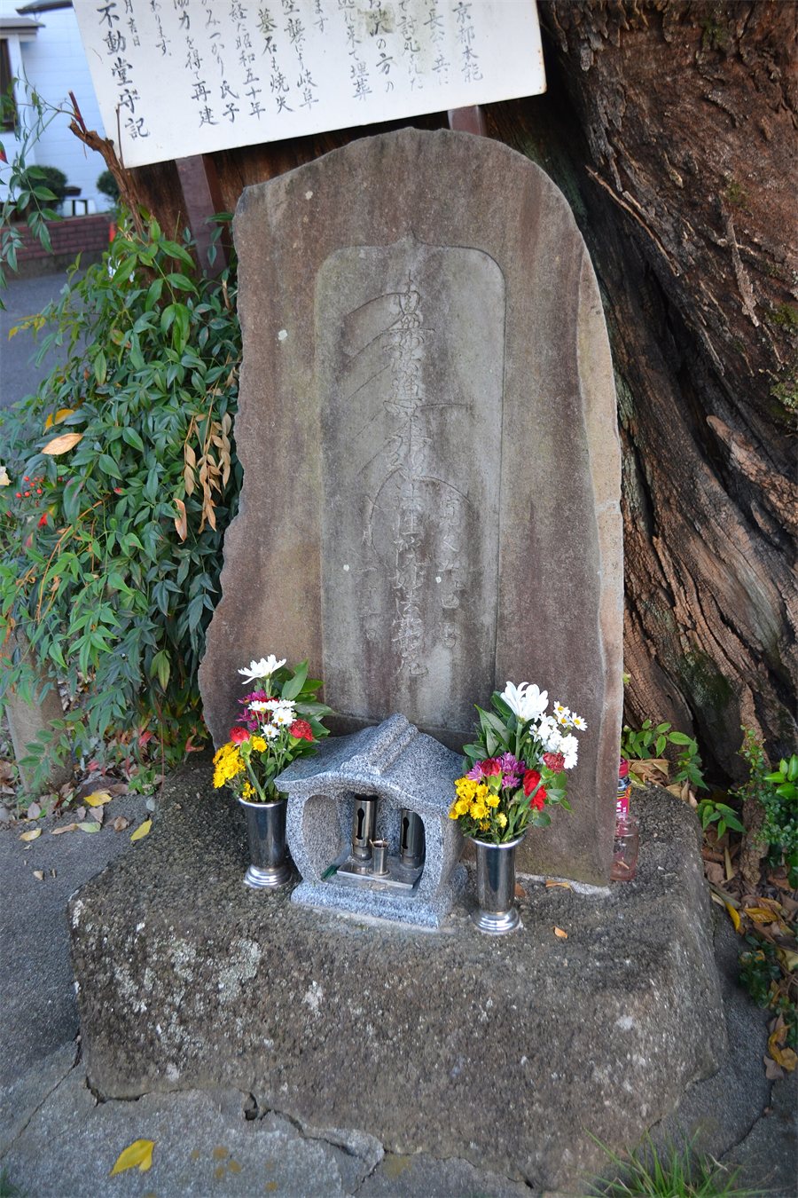 岐阜市不動町のお濃の墓。大きな木の根元に古い石碑があり、花が供えられている