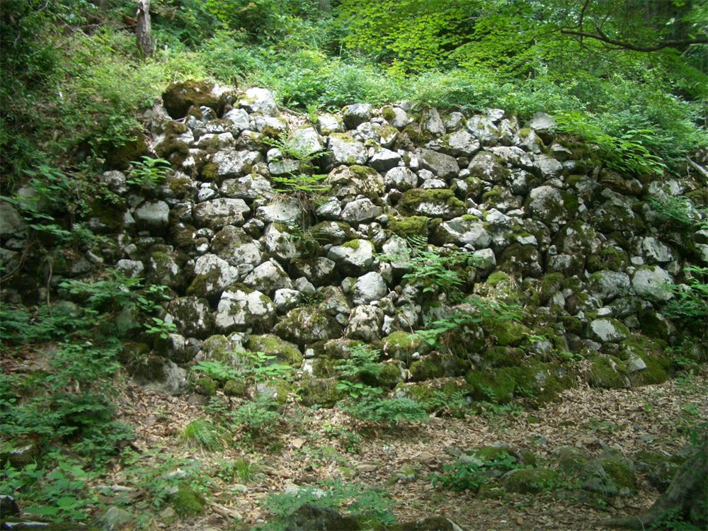 苔むした大きな白っぽい石を積み上げた小谷城跡の大石垣