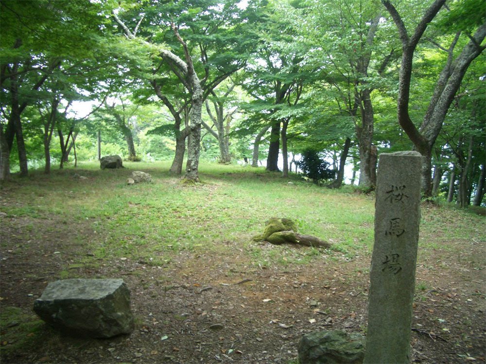 木立の中の平らな桜馬場跡と、「桜馬場」と刻まれた石の標柱