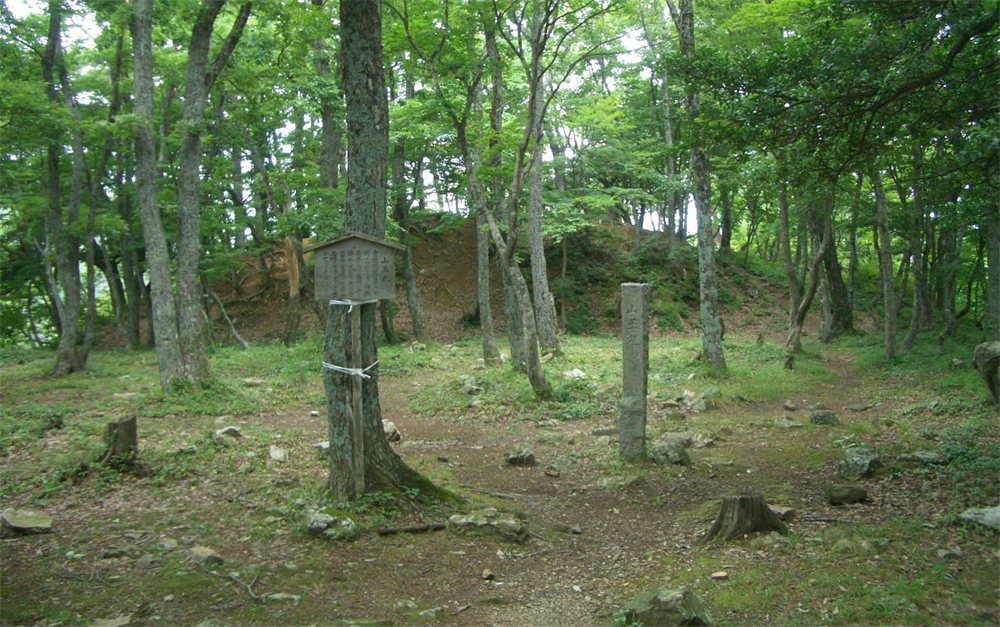 木立の中の山王丸跡。木の説明板と石の標柱が立っている