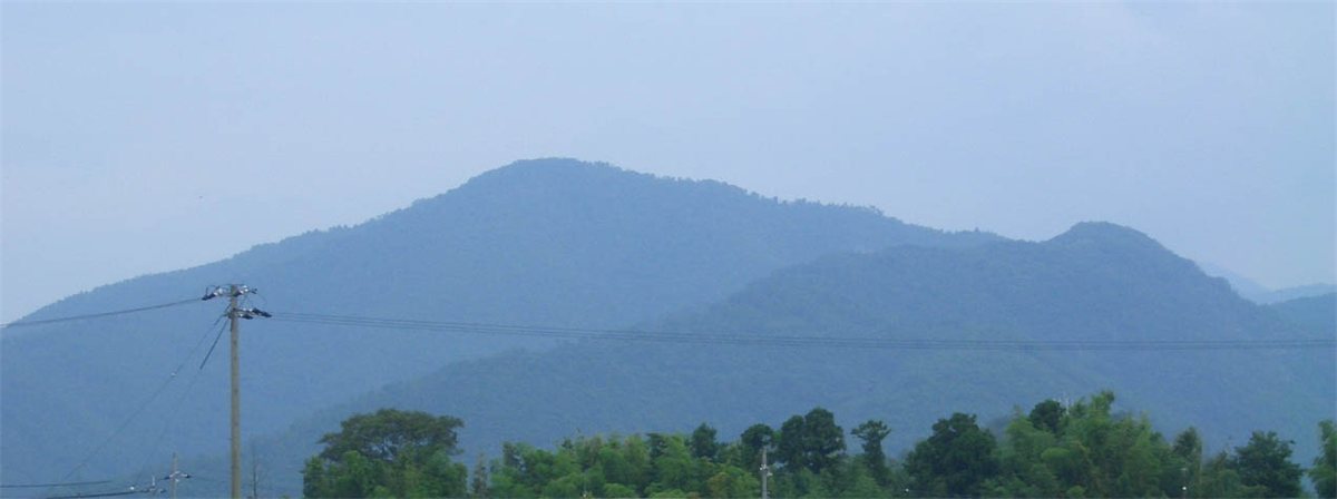 南から見た小谷山。青くかすむなだらかな山の連なりと、手前の木々