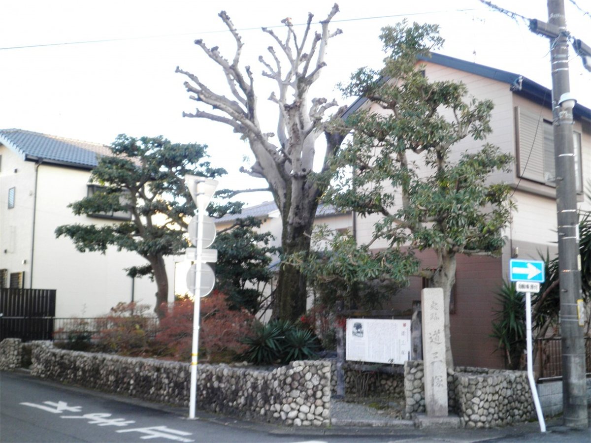 岐阜市長良福光の住宅街にある道三塚。石垣に囲まれた木の下に碑が立っている