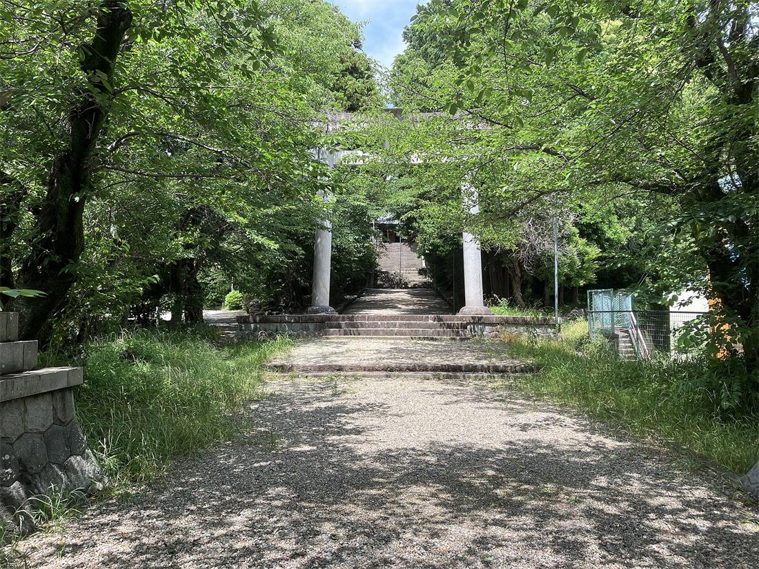 岡崎市の八柱神社の参道。木々の間に白い鳥居と石段が見える